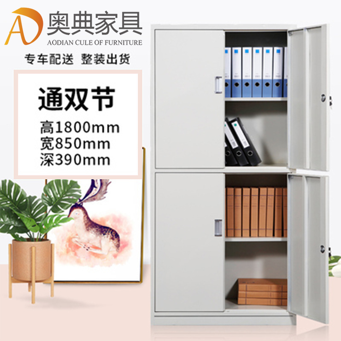 雙節(jié)柜文件柜-06